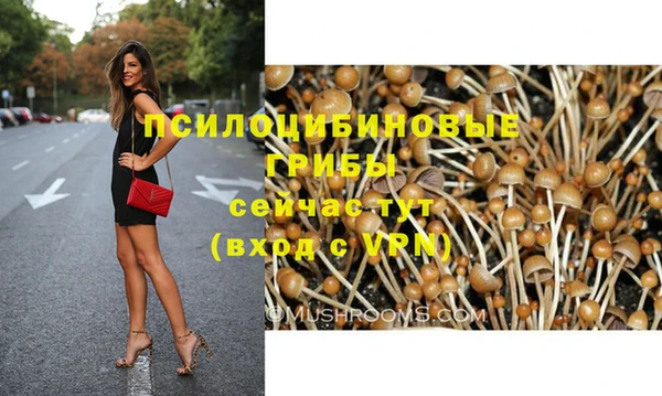 а пвп мука Иннополис