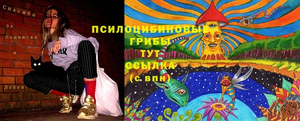 MDMA Инсар