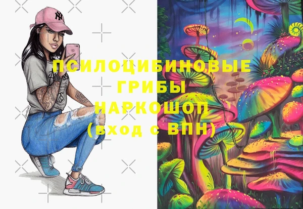 герыч Инта