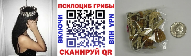 Купить  Еманжелинск  Галлюциногенные грибы Psilocybe 